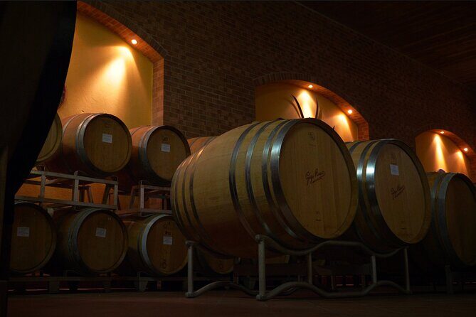 Private Tour in the Cellar and Tasting of Langhe Wines - Who’s this tour best suited for?
