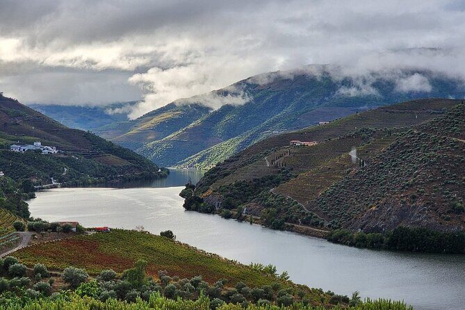 Private Tour in the Douro with Family Vineyards and Miradouro - What Makes This Tour Stand Out?