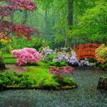 Private Tour in The Hague with a local with food tasting - Detailed Breakdown of the Itinerary