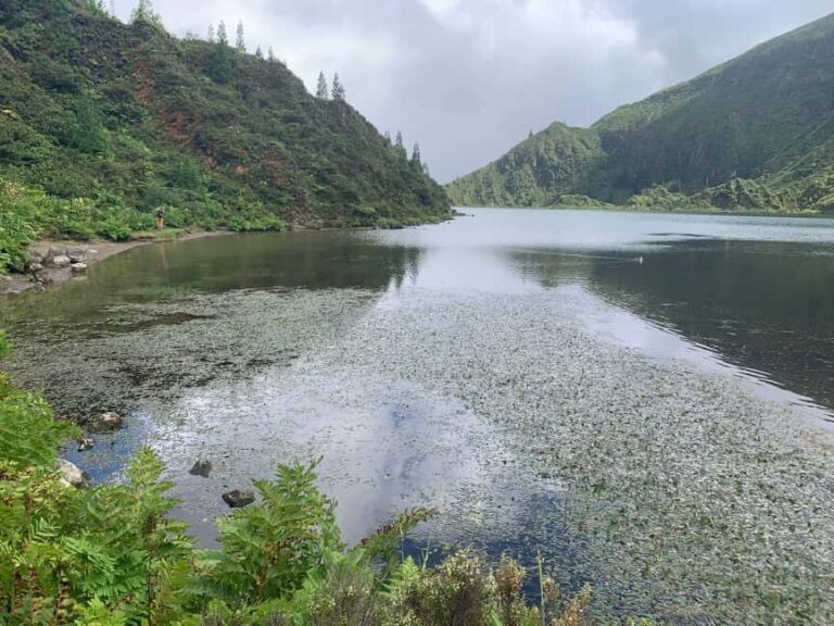 Private Tour: Lagoa do Fogo Hike & South Coast - The Hidden Gem: Degredo Beach