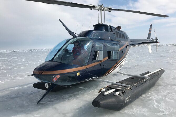 Private Tour: Niagara Falls Helicopter Flight - Practical Details and Considerations