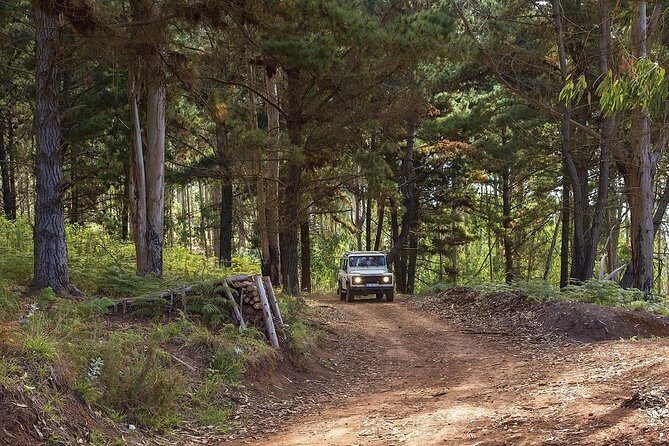 Private Tour: Nun's Valley & Sea Cliff - Half Day Jeep Tour - How This Tour Fits Into Your Madeira Trip