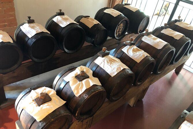 Private Tour of a traditional Acetaia, Modena tastes, and its UNESCO heritage - What You Can Expect for the Price