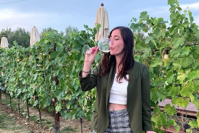 Private Tour Of Chianti with Wine Tastings - Who Is This Tour Best Suited For?