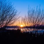 Private Tour of Highlands, Lochs & Castles from Edinburgh - What the Reviews Say