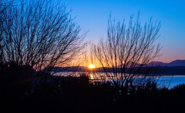 Private Tour of Highlands, Lochs & Castles from Edinburgh - What the Reviews Say