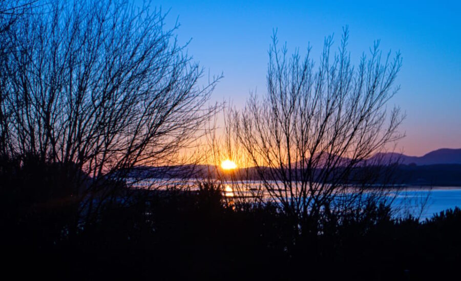 Private Tour of Highlands, Lochs & Castles from Edinburgh - What the Reviews Say