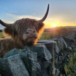 Private Tour of Highlands, Lochs & Castles from Stirling - FAQ