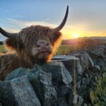 Private Tour of Highlands, Oban, Glencoe, Lochs & Castles - The Itinerary: What You’ll See and Why It Matters