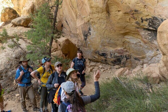 Private Tour of Mesa Verde With an Archeologist-Trained Guide - The Experience of the Guide and Group Size