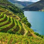 Private Tour of Peljesac Peninsula with Optional Wine Tasting - The Practical Side: What’s Included and What You Should Budget For