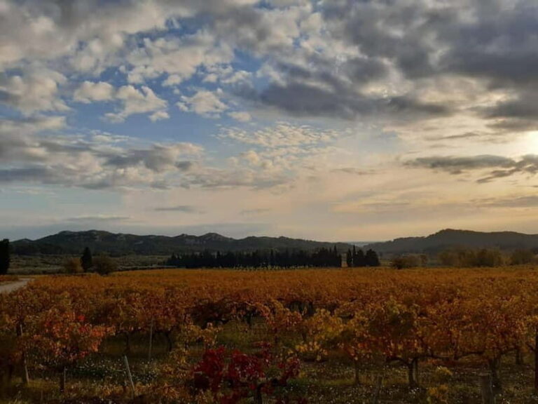 Private tour of the Alpilles, wine tastings, and local restaurant - What to Expect on Your Day in the Alpilles