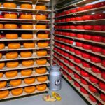 Private Tour of the Dutch Countryside by Car - The Itinerary in Detail