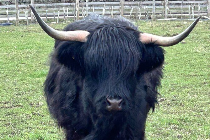 Private Tour of the Highlands, Glencoe and Castles from Stirling - Pricing and Value