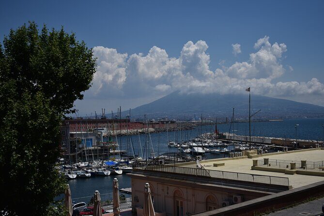 Private Tour of the Naples Royal Palace and Saint Martin Certosa - Who Is This Tour For?
