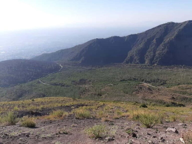 Private Tour of the Ruins of Herculaneum and Vesuvius: with Tickets Included - Why This Tour Works Well