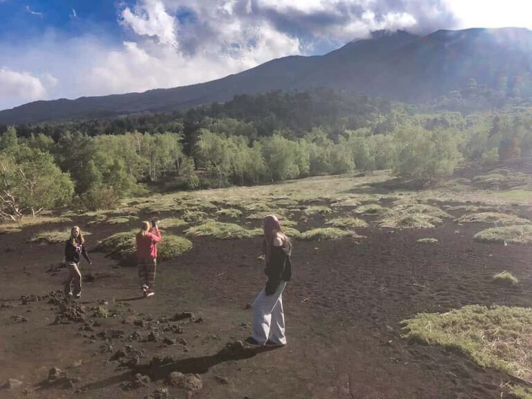 Private tour on Etna's lava flows, breathing wild nature - What Making This Tour Special