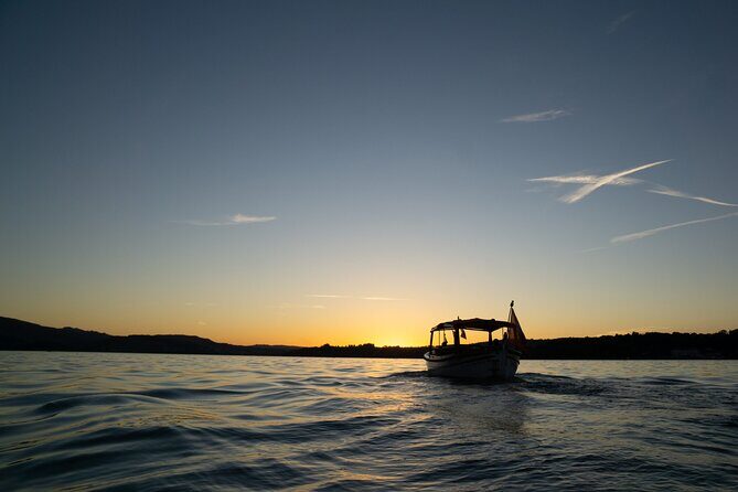 Private tour on Lake Lucerne from Weggis - Who Should Consider This Tour?