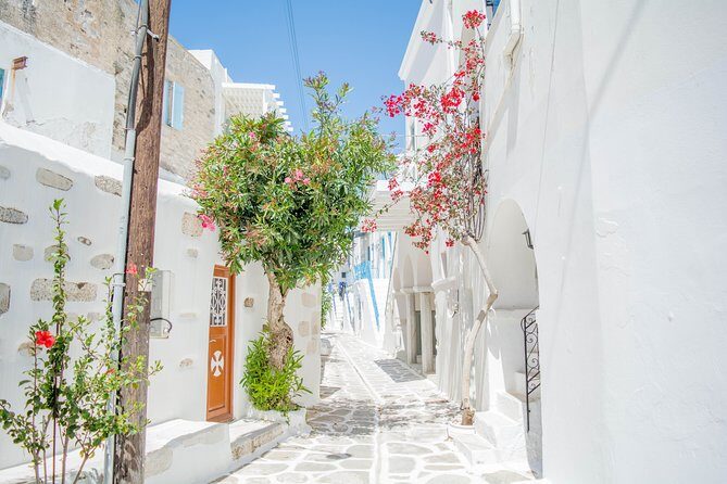 Private tour: Paros & Antiparos highlights 8 hours - What’s Included and What’s Not