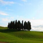 Private Tour: Pienza and Montalcino Organic Cheese and Wine Tour - The Value of This Tour