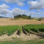 PRIVATE TOUR: Pisa & Chianti in one day with Lunch and Wine tasting Experience - The Sum Up: Is This Tour Right for You?