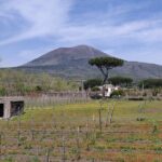 Private Tour Pompeii and Herculaneum - FAQ