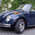 Private Tour: Regional Road Drive with Stunning Views and Poncha Drink Tasting - Who Should Consider This Tour?