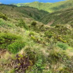 Private Tour Ribeira Grande: Salto do Cabrito Hike - What the Hike to Salto do Cabrito Offers