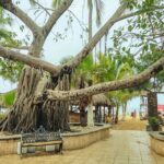 Private Tour, Sayulita & San Pancho - What Makes This Tour Stand Out?