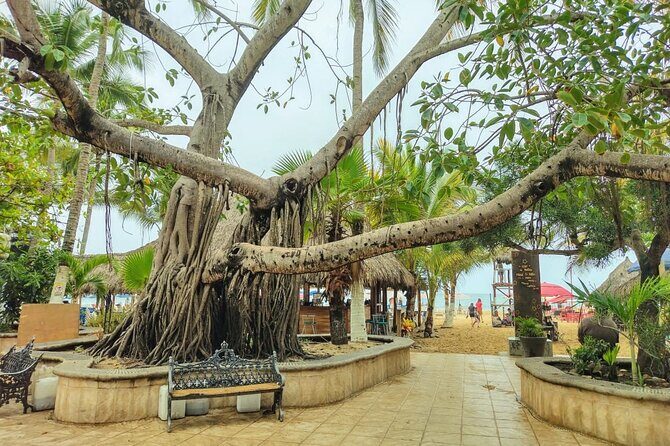 Private Tour, Sayulita & San Pancho - What Makes This Tour Stand Out?