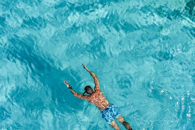 Private tour Sibenik full day - An In-Depth Look at the Full-Day Private Boat Tour