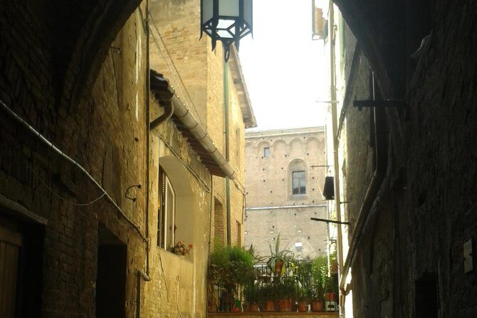 Private Tour: Siena Walking Tour - Final Thoughts