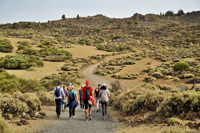 PRIVATE TOUR Teide National Park: Hiking and Stargazing - Why This Tour Works Well