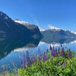 Private Tour to Atlantic Road from Ålesund groups 1 to 40 - The Value and Practicalities