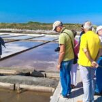 Private Tour to Aveiro and Costa Nova unique striped houses - What’s Good and What’s Not