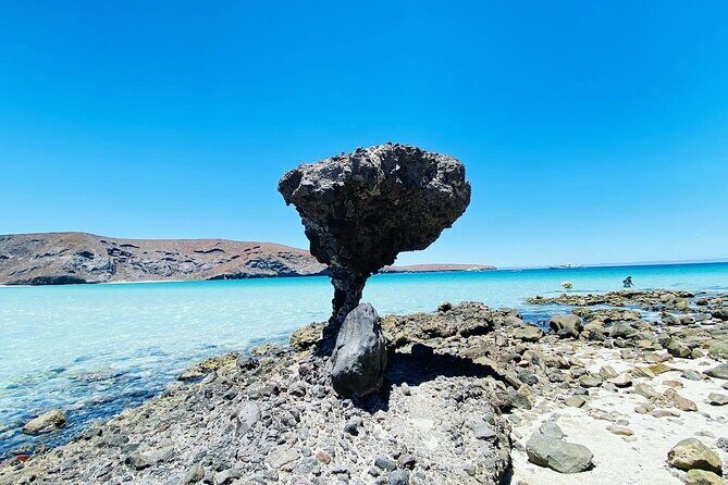 Private Tour to Balandra, La Paz and Todo Santos - Final Thoughts: Is This Tour Right for You?