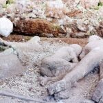 Private Tour to Pompei Sorrento and Positano with English speaking Driver/Guide - Positano: The Cliffside Jewel