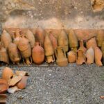 Private tour to Pompeii from Rome: Driver and guide in Pompeii (tickets inc) - What Makes This Tour Stand Out?