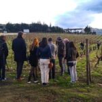 Private Tour to stunning Douro Valley and renowned wineries - The Itinerary in Detail