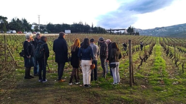 Private Tour to stunning Douro Valley and renowned wineries - The Itinerary in Detail