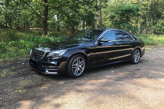 Private tour to The Hague and Delft Blue Potteries from Amsterdam - Comfort, Convenience, and Cost