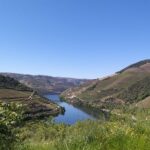 Private Tour to the rock art of Côa Park, Pinhão and Winery - First Impressions: What to Expect from the Tour