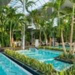 PRIVATE TOUR to Therme Bucuresti  Entrance Ticket included - Who Would Love This Tour?