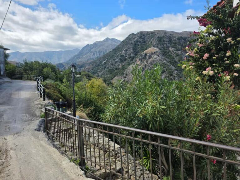 Private tour Traditional Cretan Lunch in a Mountain Village - Practical Details and Considerations