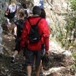 Private Tour: Truffle-Hunting Experience from Amalfi Coast with Lunch - The Experience and Reviews