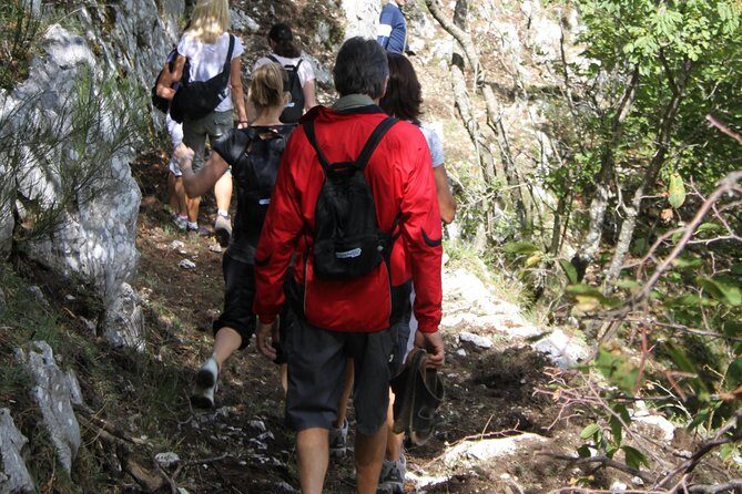 Private Tour: Truffle-Hunting Experience from Amalfi Coast with Lunch - The Experience and Reviews