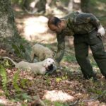 Private Tour: Truffle-Hunting Experience from Naples with Lunch - Is It Worth the Price?