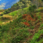 Private Tour VIP - The Itinerary in Detail: What Makes It Special