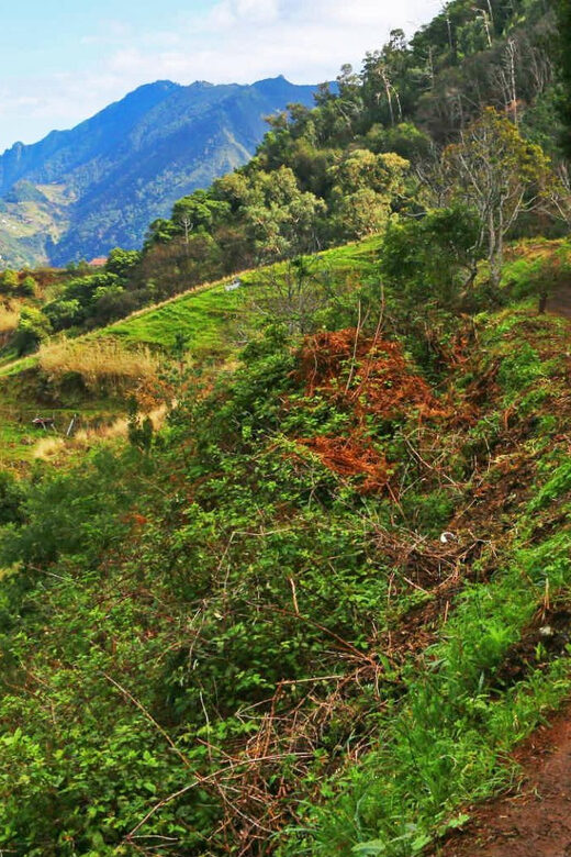 Private Tour VIP - The Itinerary in Detail: What Makes It Special