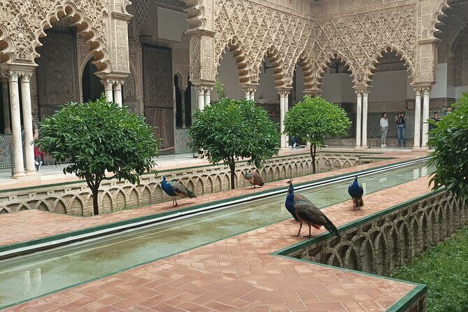 Private Tour with Local Guide to know the Seville Essential - The Experience: What Sets It Apart